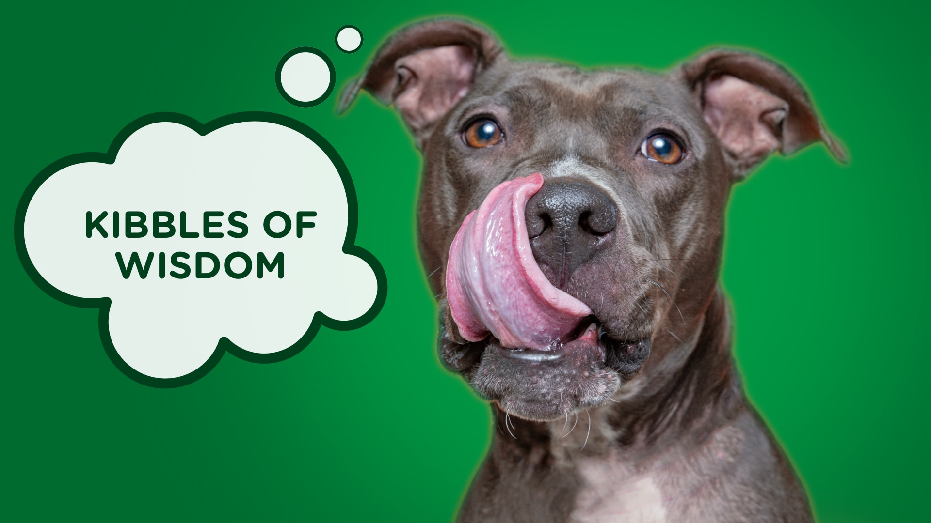 Can A Dog Grow Too Fast