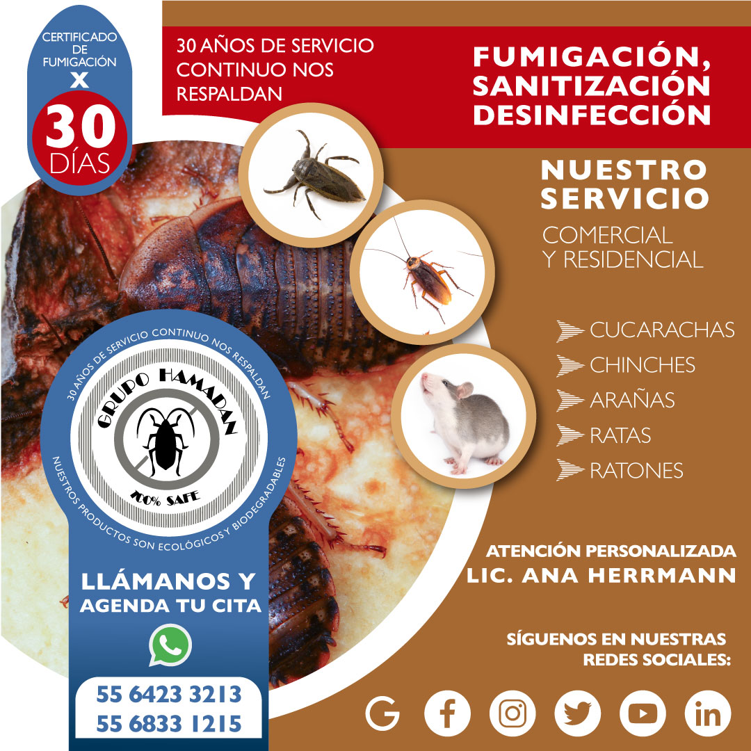 HamadanCv's tweet image. #Grupo Hamadan empresa 100% mexicana, especializada en el negocio de Fumigación y Control de Plagas urbanas, como chinches, cucarachas, hormigas; hasta ratones, arañas, alacranes y más.
¡CONTÁCTANOS!
#ControlDePlagas #fumigadora #sanitizacion #desinfeccion #fumigacion