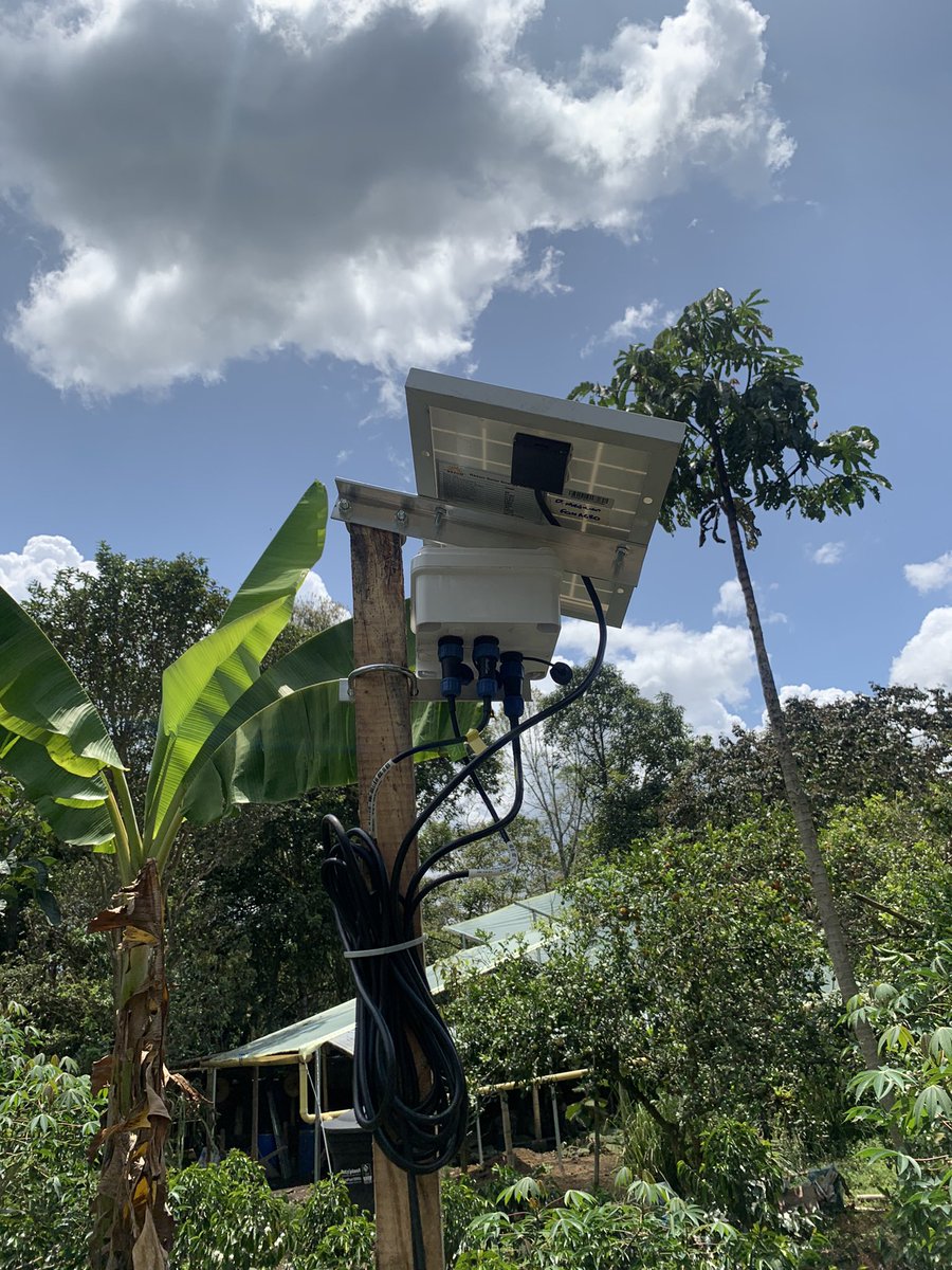 AgtechParaTodos's tweet photo. Trabajo de campo IoT #agrotec #smartagro primera prueba implementada del sensor de humedad del #proyectoFONTAGRO para pequeños y medianos agricultores en Los Cerrillos, Cauca. #Tesac @AgtechParaTodos @BiovIntCIAT_esp @visualiti https://t.co/RBjxo724qf