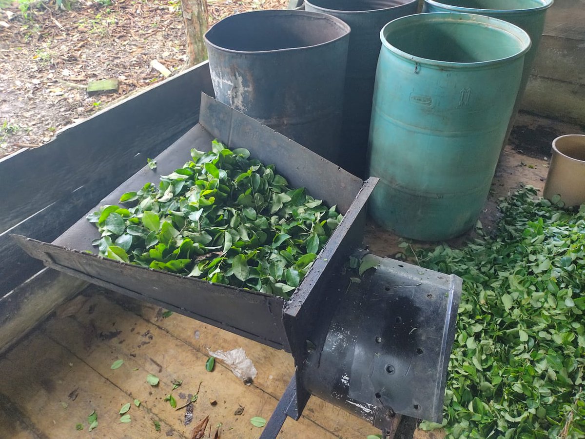 Ejercito_Div6's tweet photo. #ContraElNarcotráfico: En la vereda La peñaroza del municipio de Puerto Asís en el #Putumayo, fue ubicado y destruido por los soldados del Batallón de Ingenieros N°27 de la #Brigada27 un laboratorio para el procesamiento de pasta base de coca. #LibertadQueUne https://t.co/WyhVZ0s8uz