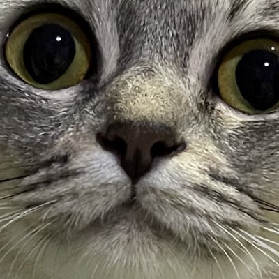 srysosry's tweet image. #.NewProfilePic