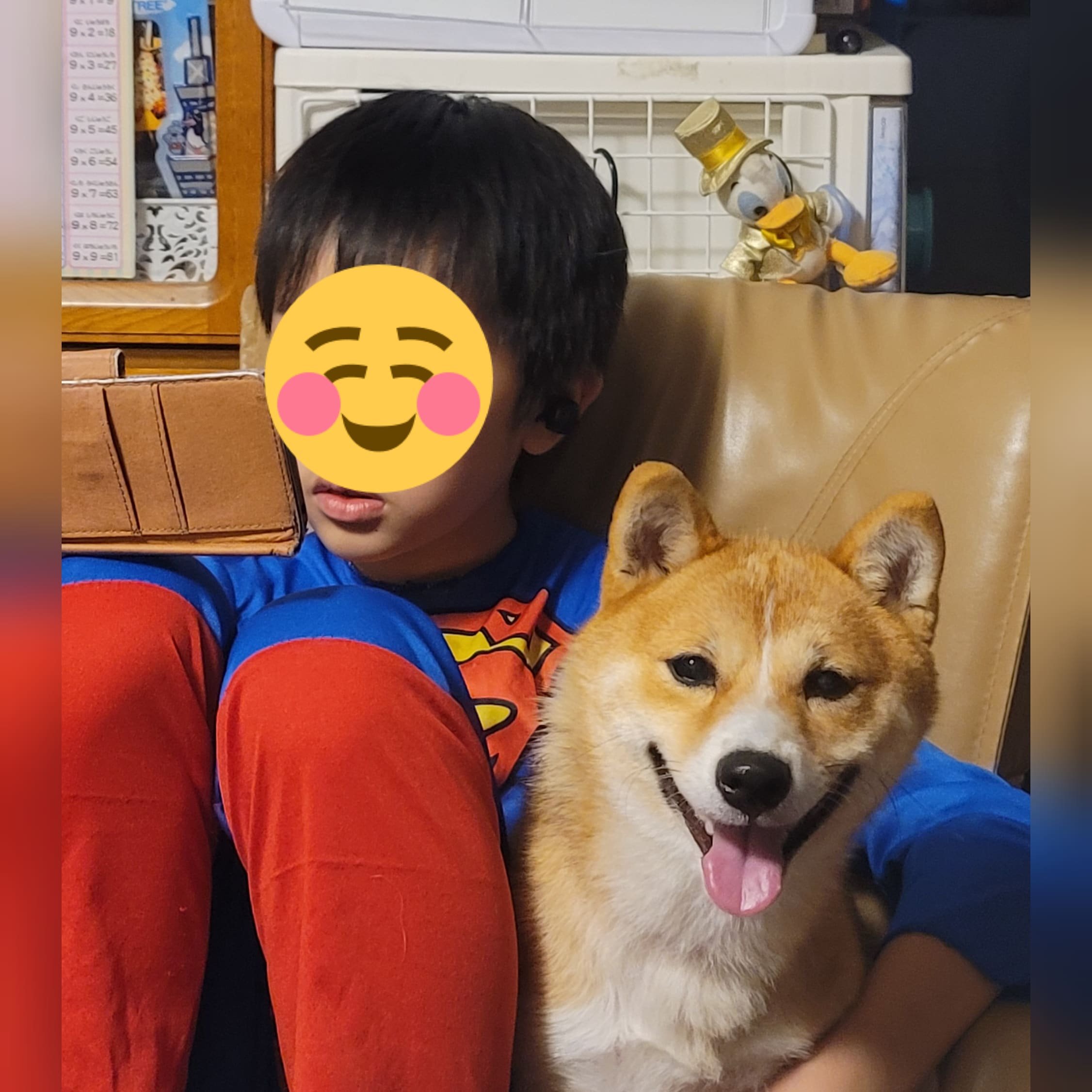浜崎真鈴 将来の夢は スーパーマン 妹 と一緒 スーパーマン 豆柴 柴犬 犬 男の子 T Co Bfwr7zpls5 Twitter