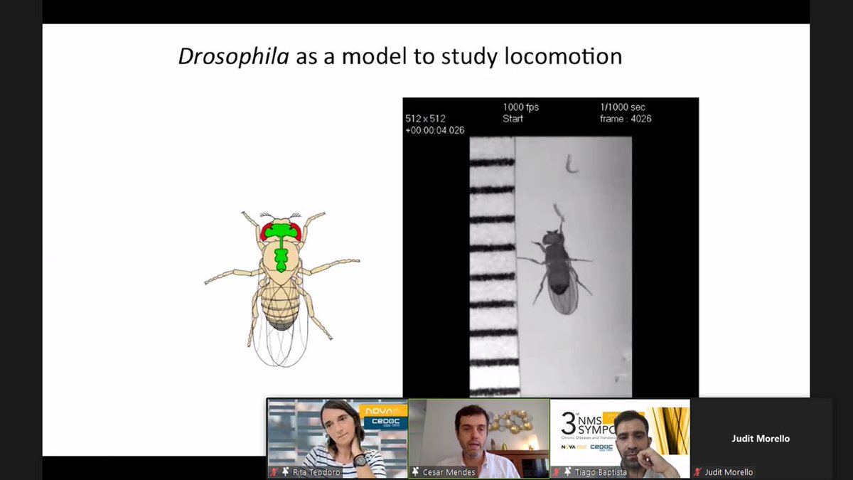 cedocsymposium's tweet image. Wonderful presentation of César Mendes, our first keynote speaker of the Fourth Session.