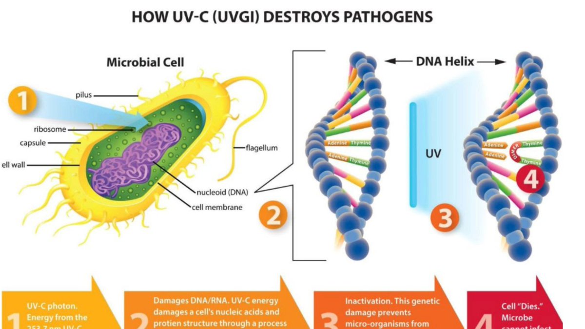 CowardInc's tweet photo. Multiple factors influence microbial deactivation, according to Engineering Systems Magazine. View a helpful infographic on how the UV-C #Photodimerization process works. Click to learn more. https://t.co/xAxmvlxyfS
#EngineeringNews https://t.co/3KMrqR2v4N