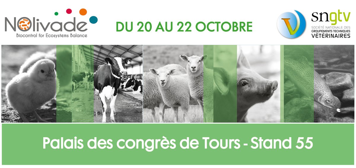 [#JNGTV2021]
📢 Assistez à l’intervention de notre vétérinaire Dr Gino SCIMIA (DMV)
🐄 « Des bactéries pour orienter le microbiote du pied des ruminants : une étude rétrospective sur 150 élevages laitiers » 
📅 Jeudi 21 octobre 🕐 De 09h45 à 10h00
📢 Rencontrons-nous ensuite !