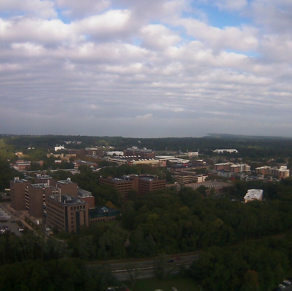 SoMAS's tweet photo. Fall only starts when the @stonybrooku trees get their RED on, and the camera on top of the Health Sciences Center is still seeing green!
@sbuweather says there's some warm weather heading our way, too! #NotFallYet https://t.co/13F3eoVQab https://t.co/VR2fTVXSP2