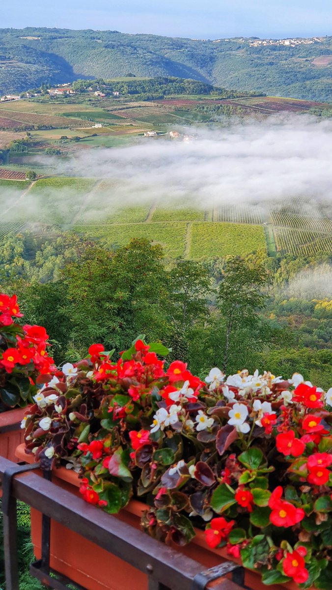 [ 𝕄𝕀𝕊𝕋𝕐 𝕄𝕆ℝℕ𝕀ℕ𝔾 🌺 ] 📸: @visit_motovun | An almost everyday sight at this time of year! 🍂 #FALLinLoveWithCroatia #Motovun #VisitMotovun