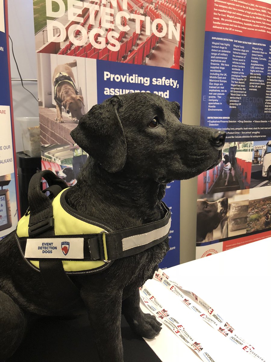 WagtailUK_dogs's tweet photo. Excellent speakers here at the @TheFSOA conference in Stratford. As a leading provider of detection dogs to sports stadiums, we are always keen to keep up to the date and learn from industry experts @SGSA_UK #strongertogether #safestanding #stadiumsecurity #snifferdogs https://t.co/qBDNerK5rR