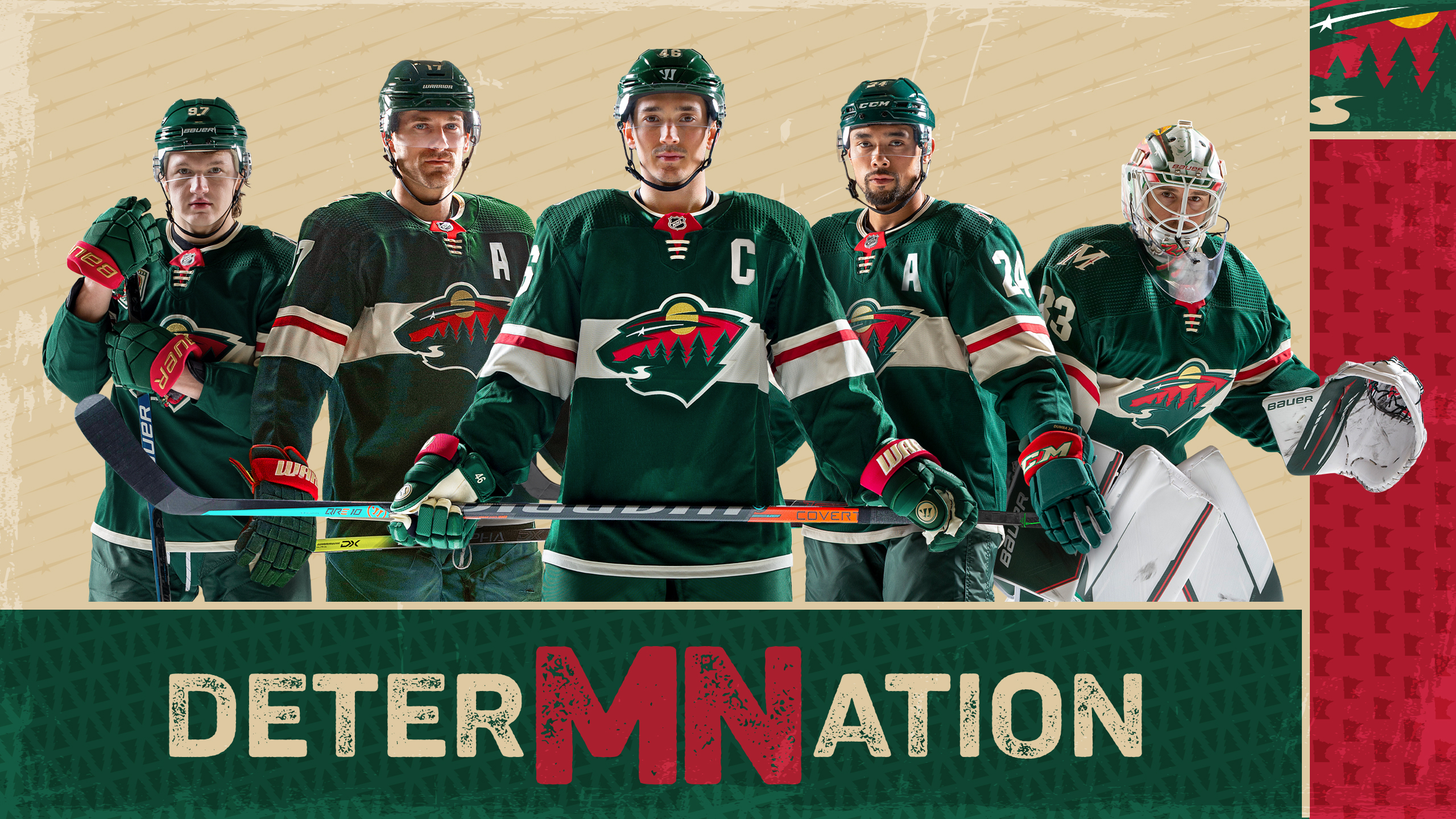 mn wild desktop