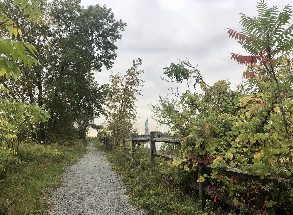 Bumped into a gentleman who was #birdwatching on the nature trails in Liberty State Park… 

“Have you seen anything good this morning?”

HIM: “It’s all good.”

#FallMigration #Nature #NJ