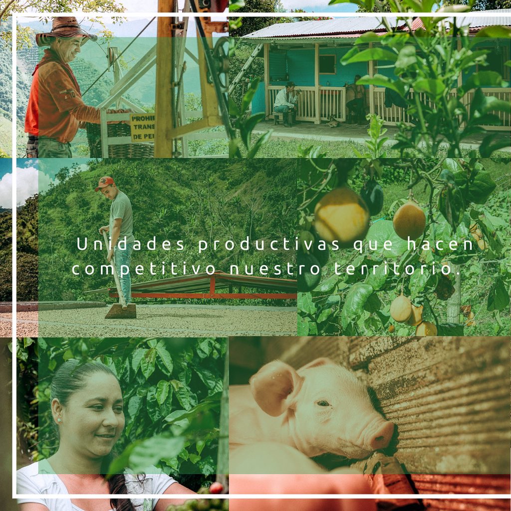 🧑🏼‍💻 Nuestros jóvenes día a día se fortalecen y desarrollan múltiples capacidades que contribuyen a su crecimiento. 🔖  ¡Estos jóvenes le ponen el alma a sus proyectos! 💚