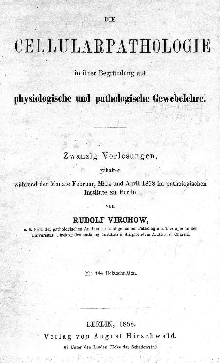 StoriaMedicina's tweet photo. "Omnis cellula e cellula": Rudolf L. K. #Virchow, the father of #cell theory, was born #OTD exactly 200 years ago. His name is also linked to the pathogenesis of #thrombosis, on which he published a treatise in 1845.
#histmed #MedTwitter #medizin #science #historiamedica #storia https://t.co/M1GpyjIeGS