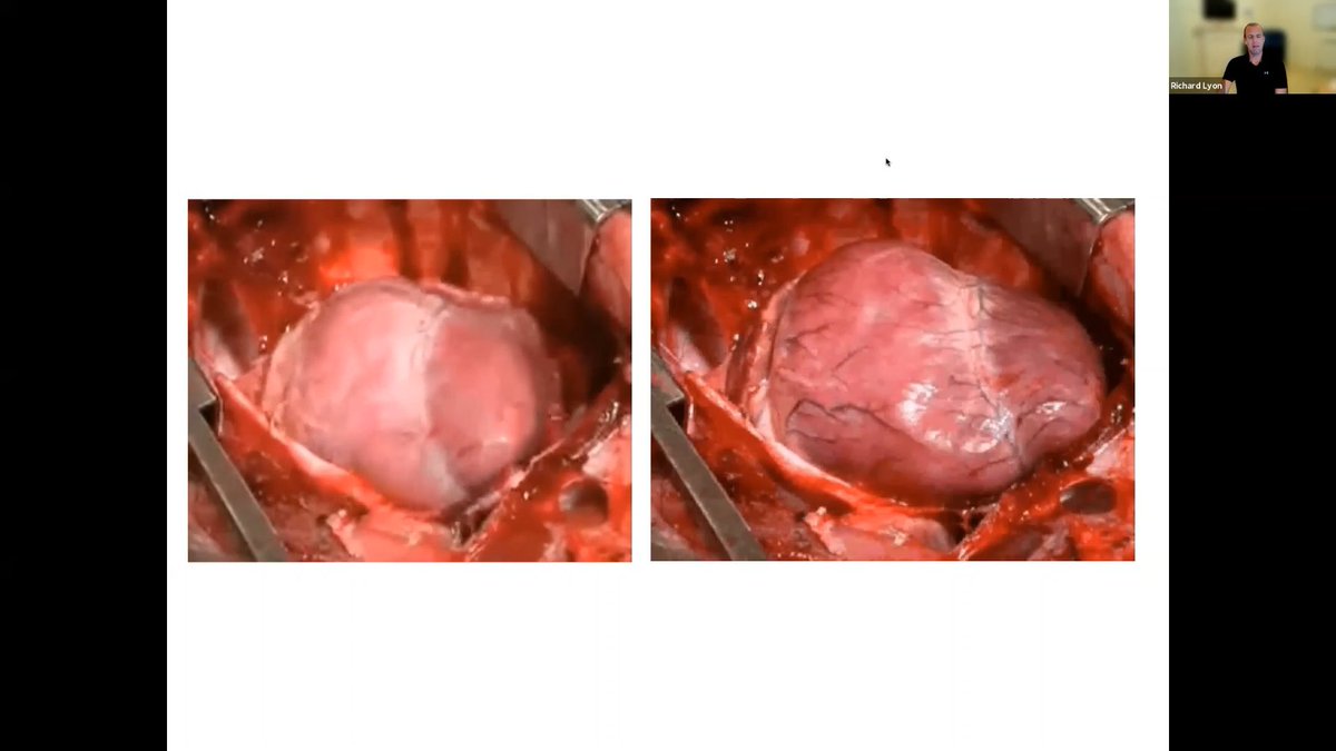 Blizard Institute tweet media