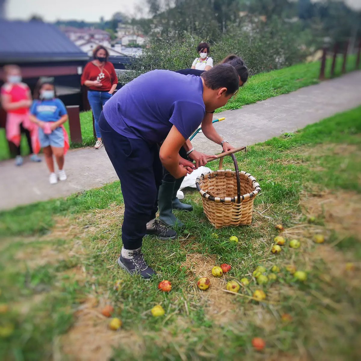 FBidaiakF's tweet photo. 🍏Produce tu propio mosto en @Sagardoetxea, una experiencia en familia para disfrutar del #otoño. 📍Todos los fines de semana de #Octubre
📝nuestra experiencia:
https://t.co/Ce9AR3xyAW https://t.co/xByRYcSfOc