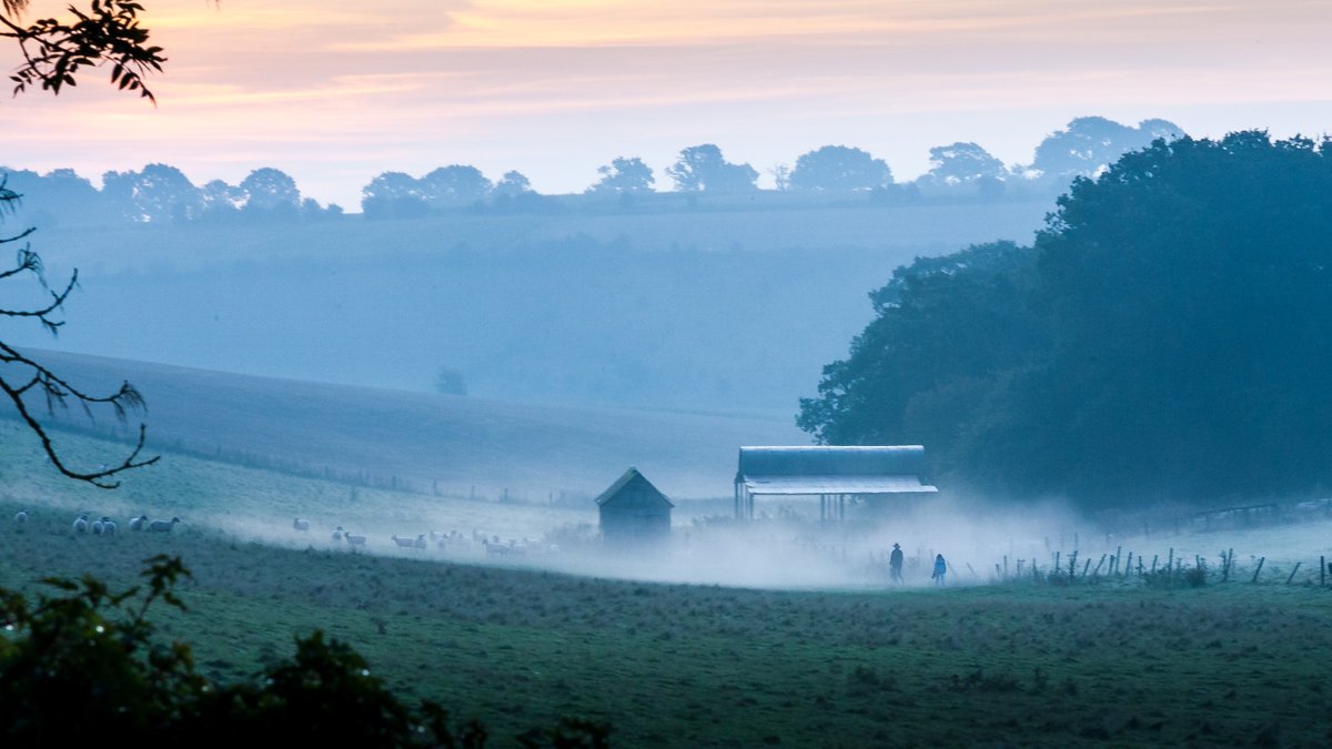 North Wessex Downs Landscape Trust (@nwdlt) on Twitter photo Our Autumn 2021 Newsletter is hot off the press and available at: bit.ly/3lC39as
@NorthWessexAONB <a href="/CLASouthEast/">CLA South East</a> <a href="/VMarlborough/">Visit Marlborough</a> <a href="/visitpewseyvale/">Visit Pewsey Vale</a> <a href="/VisitWiltshire/">VisitWiltshire</a> <a href="/croftonbeamengs/">Crofton Beam Engines</a> <a href="/WiltonWindmill/">Wilton Windmill</a>
#northwessexdowns #northwessexdownsaonb #valeofpewsey #landscapesforlife Our Autumn 2021 Newsletter is hot off the press and available at: bit.ly/3lC39as
@NorthWessexAONB <a href="/CLASouthEast/">CLA South East</a> <a href="/VMarlborough/">Visit Marlborough</a> <a href="/visitpewseyvale/">Visit Pewsey Vale</a> <a href="/VisitWiltshire/">VisitWiltshire</a> <a href="/croftonbeamengs/">Crofton Beam Engines</a> <a href="/WiltonWindmill/">Wilton Windmill</a>
#northwessexdowns #northwessexdownsaonb #valeofpewsey #landscapesforlife