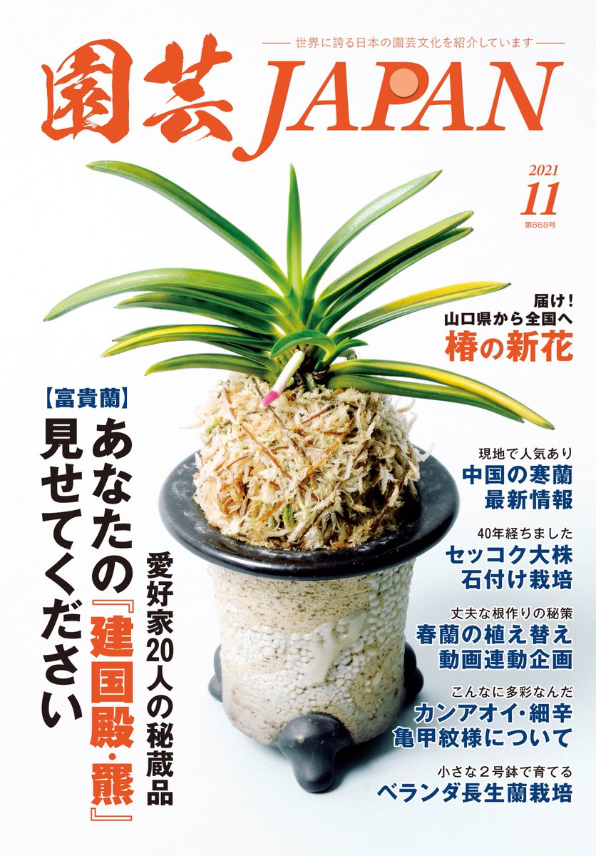 園芸japan 毎月12日発売 Japan Twitter 園芸japan 毎月12日発売 Japan Twitter
