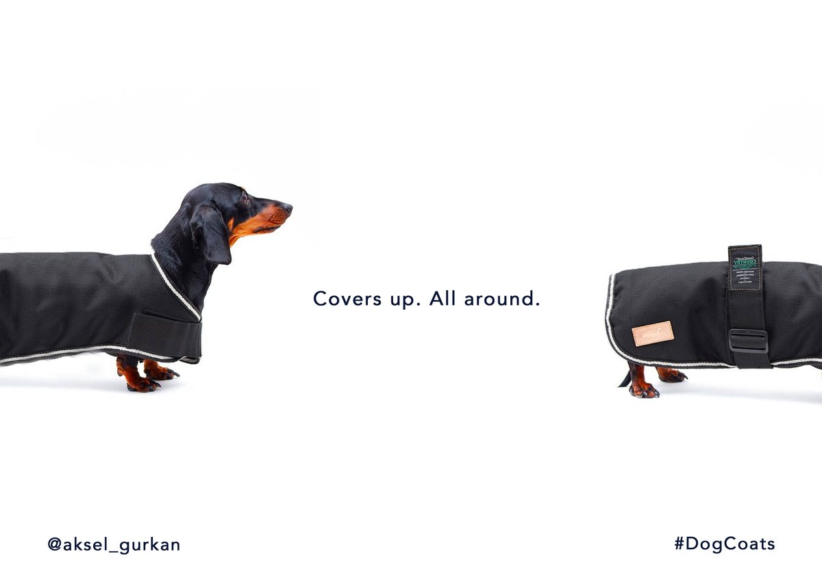 Just can't get enough from this concept. So here we go again. 

One Minute Brief of the Day:
Advertise #DogCoats <a href="/OneMinuteBriefs/">One Minute Briefs ⏱️</a> #dachshund #dogs Special mention 👉 <a href="/PupSmiling/">Smiling pup</a>