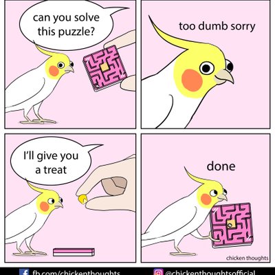 Chicken Thoughts's Photo