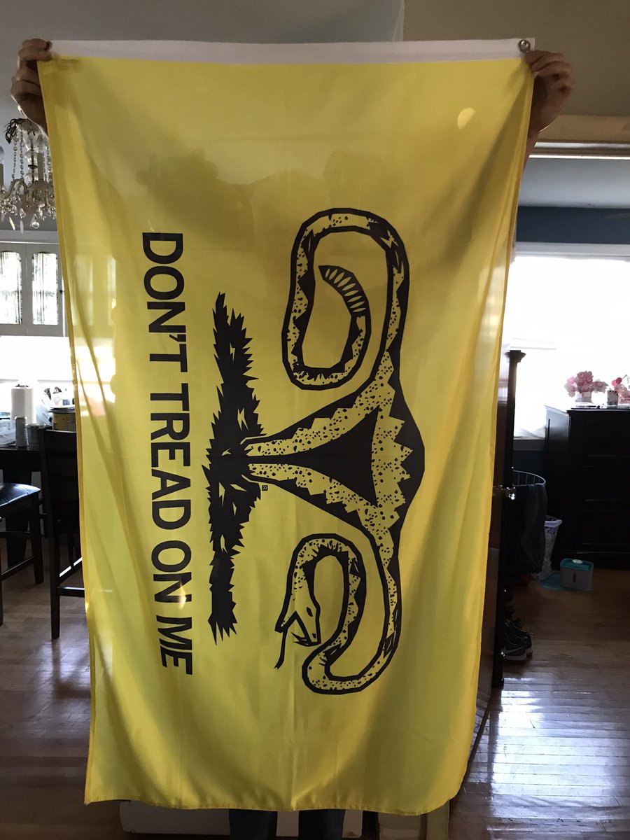 LisaDLuna1's tweet photo. Received my new flag. I’m demanding my own voice. https://t.co/dtEncdmuov