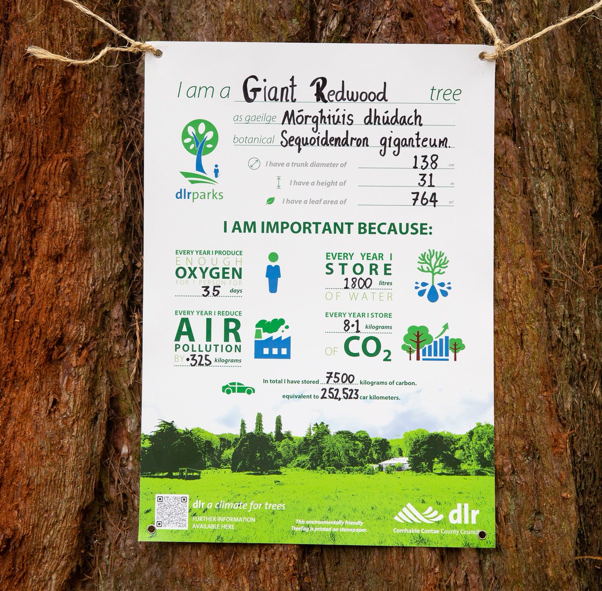 dlrcc's tweet photo. To highlight the importance of trees, we have placed educational tree tags across Fernhill Park &amp; Gardens.

These tags will be rolled out across parks in the County over the coming weeks. 
Locations can be found on the interactive map here: https://t.co/iP49UY25at

#Treetags
🌲🍃 https://t.co/CAKoo27iz4