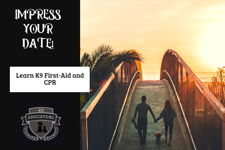 K9FirstAid_CPR's tweet image. Learn K9 First-Aid and CPR online at K9educators.com
#impressive #datenight #k9educators #k9firstaidandcpr #ilovedogs