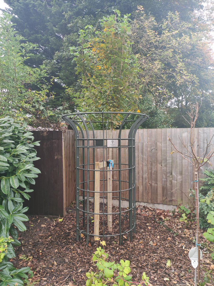 FallingsParkPri's tweet image. Queen&apos;s Green Canopy - Our school was fortunate to be chosen to plant a tree, gifted by Her Majesty The Queen to celebrate her Platinum Jubilee in 2022. We are one of only 70 primary schools in the country to be selected. It is a huge honour. @QGCanopy 

#QGCCelebrationTree