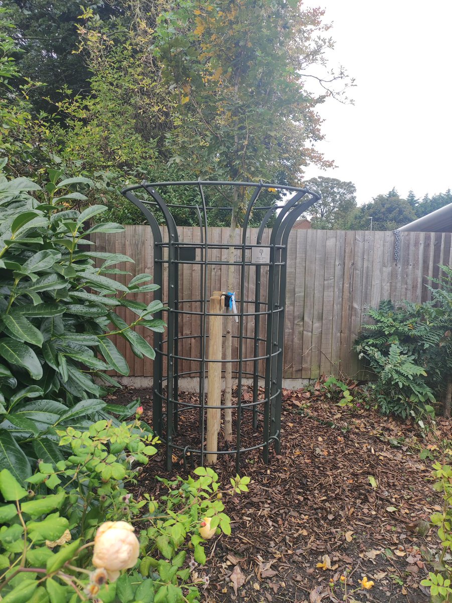 FallingsParkPri's tweet image. Queen&apos;s Green Canopy - Our school was fortunate to be chosen to plant a tree, gifted by Her Majesty The Queen to celebrate her Platinum Jubilee in 2022. We are one of only 70 primary schools in the country to be selected. It is a huge honour. @QGCanopy 

#QGCCelebrationTree