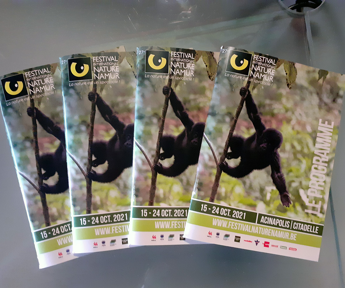 Notre programme "papier" est (enfin) disponible à notre accueil à l'Acinapolis.
Egalement disponible chez nos partenaires :
- Office du Tourisme de Namur (Gare de Namur)
- PointCulture de Namur (Espace culture Le Delta)
- La Citadelle - Centre du Visiteur Terra Nova
