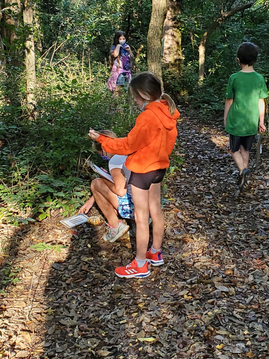 Mrs. Zeek tweet media