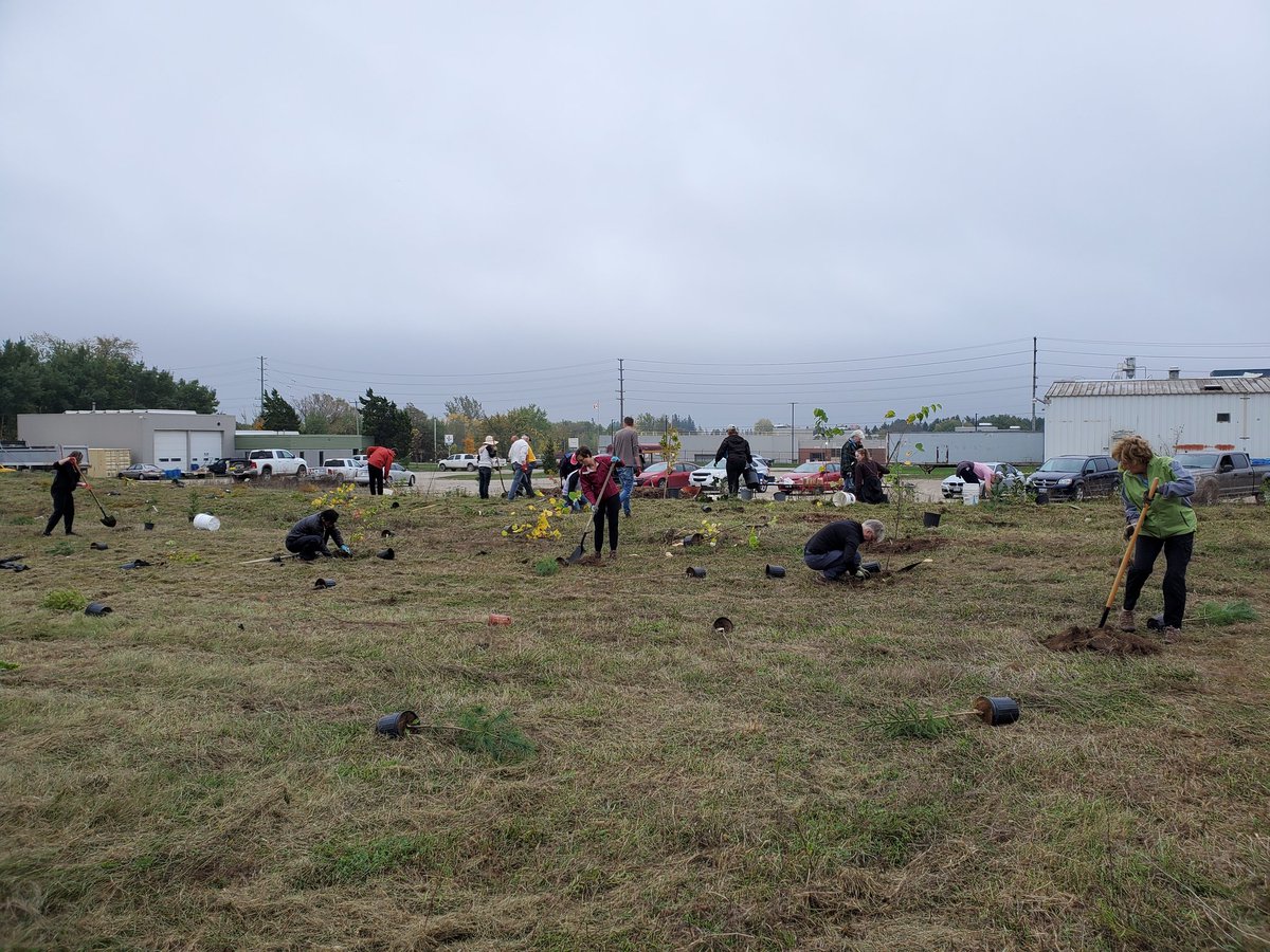 CWhydro's tweet photo. Big thanks to @Neighbourwoods and @CentrWellington for their expertise and support to make @CWhydro tree planting day a success! https://t.co/YqAlefeo3Q