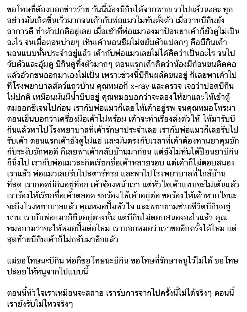 โบนัสเป็นแม่แมว (@bonusiie) on Twitter photo 