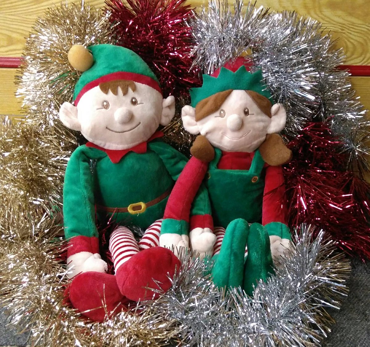 We have only TWO SPACES REMAINING on this years Santa Cruise trips - head over to our Facebook page for more details! facebook.com/basingstokecan…