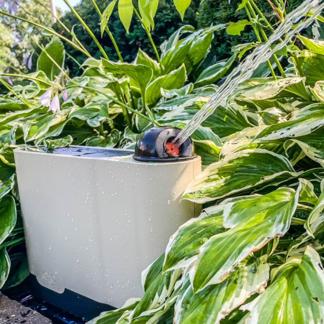 Did you hear?? 🛎 We’re finally caught up with the backlog! Any orders you make now will be shipped within 4-5 business days! Party popper (Thanks for your patience y'all ) #otolawn #startuptoronto #lawncare #smartliving #smartsprinklers #smarttechnology #freeshipping #smarthome