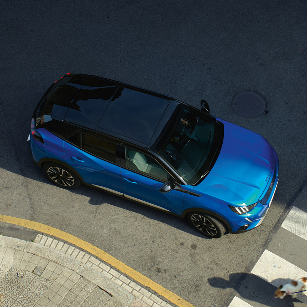 Rgonzalezyhnos's tweet photo. ¡El mejor momento para hacerte con el #Peugeot con el que sueñas es AHORA! 🤩

Hasta el 15 de octubre podrás obtener un ahorro de hasta 6.300€ en nuestros #LionDays. 💙

Pide info y ven a vernos sin compromiso. 

#FelizMiércoles https://t.co/edy7Vlk2c9
