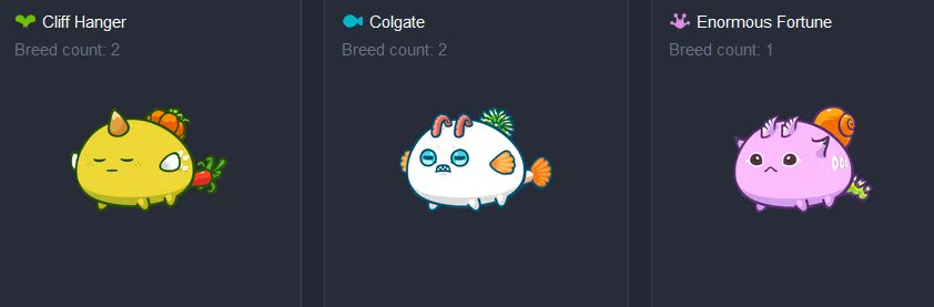 questingsushi's tweet photo. The next QG member was choosen and messaged 👏
We are adding more scholars to our team soon so don't worry if you didn't get picked now 🤗 https://t.co/0kp3e6wFwa