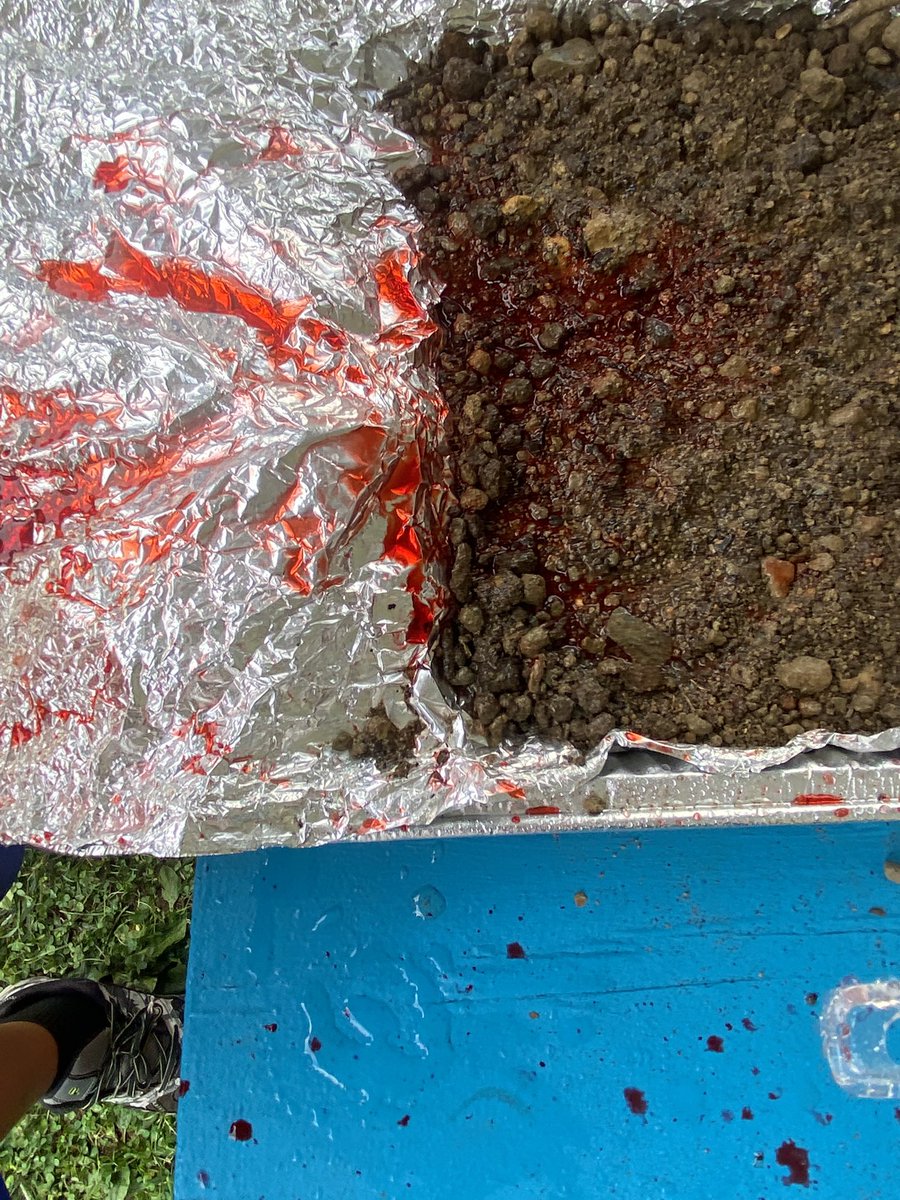 Hollin Meadows Garden tweet media