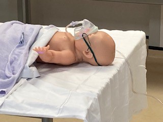 SPRinT Simulation tweet media