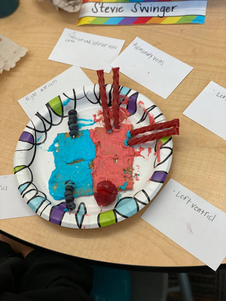 AVLCitySchools's tweet photo. 4th graders/aspiring cardiologists at @IsaacDicksonAVL are building edible heart models. 

They read the Circulatory Story then used tasty treats to assemble their own heart and labeled all the parts, making connections to the text through hands on projecting! 

#TheACSWay https://t.co/AEYkFjheRn