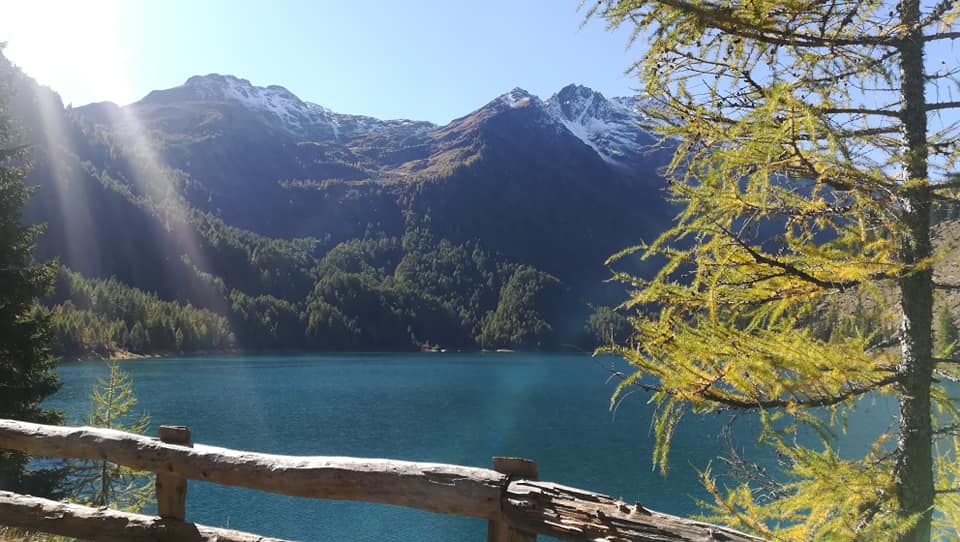 L'autunno si colora 🍂☘️🌞!!
#autunno #coloring