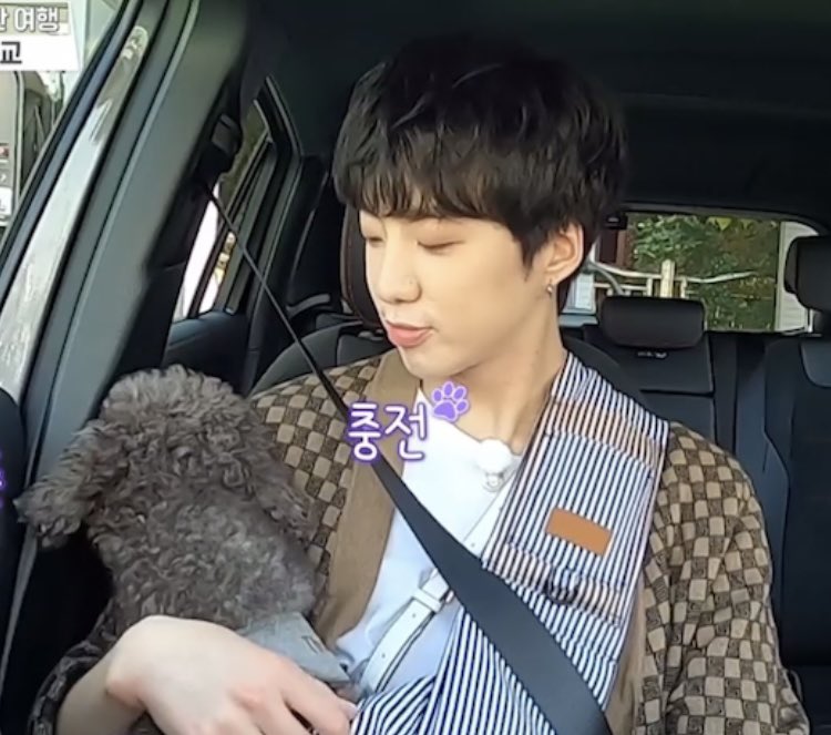 hellobbjini's tweet photo. 강승윤은 강아지 ‘강’씨임이 틀림없어 https://t.co/jleh4F3l1W
