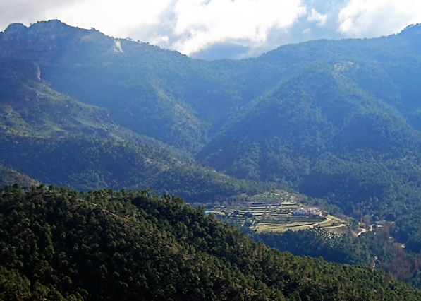 QuebrantaPNCazo's tweet photo. Aprovecha el otoño para hacer la ruta del Pilarillo, un precioso itinerario para disfrutar de un tupido sotobosque de encinas, enebros, jaras y plantas aromáticas. Y unas vistas increíbles.
https://t.co/2ZhXrXEzWd
#GR247 #BosquesdelSur #JaénDestinoAventura @dipujaen https://t.co/7e1c625Q9a