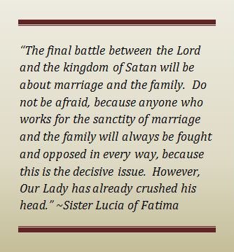 walkenstein's tweet photo. The enemy fights us because THIS is the final battle. Our Lady of Fatima, ora pro nobis+ #fatima https://t.co/MOQ6HP6E2Z