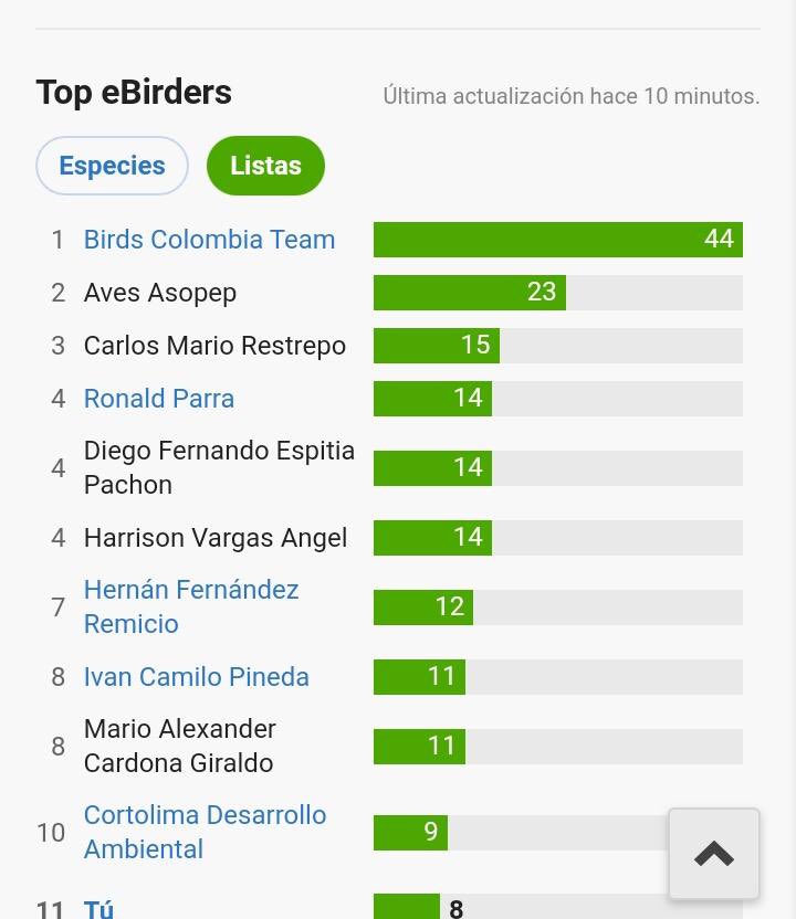 ASOPEPPLANADAS's tweet photo. Seguimos actualizando datos de #octoberbigday . Somos el segundo lugar en número de listas, que da cuenta de la calidad de la metodología de muestreo implementada. @DeTolimense @Team_eBird @FondoONUCol https://t.co/E1HpQs7DhD