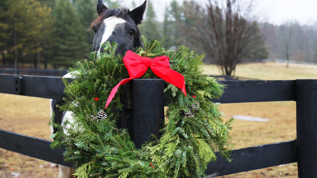 Get festive! Cross one thing off your holiday to-do list - order fresh wreaths and garland from <a href="/aawncstate/">Alpha Zeta NCSU</a>. Orders arrive in early December. Proceeds benefit Ag Awareness Week. 

Best part? They deliver locally! Order online buff.ly/3lCkXlO
<a href="/NCStateCALS/">NC State College of Agriculture and Life Sciences</a>