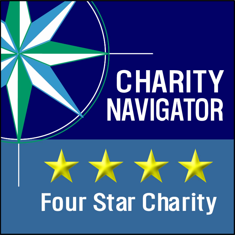 ⭐ ⭐ ⭐ ⭐  ProLiteracy has earned <a href="/CharityNav/">Charity Navigator</a>'s coveted 4-star rating!  

We make every effort to ensure that you feel confident in us, so we are beyond proud to be recognized for our accountability to the adult education field, our transparency, and our financial health.