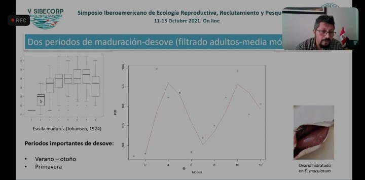 angelperea01's tweet photo. Seguimos en el V SIBECORP, simposio de ecología reproductiva, reclutamiento y pesquería; un foro de discusión científica donde se discuten aportes vinculados a las pesquerías de los países Iberoamericanos. Hoy nos tocó mostrar resultados del recurso #machete #INVIPESCA https://t.co/0ZUqdsZ7na