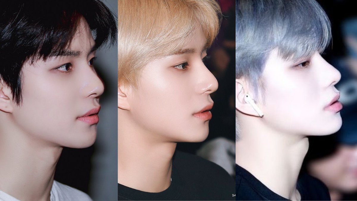 did not win the "prettiest side-profile! the idol with perfect nose&qu...