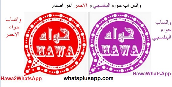 watsabplus_app's tweet photo. تحميل واتساب حواء اخر اصدار hawa whatsapp

https://t.co/V6nR3NonxV

#واتساب #واتساب_بلس #gbwhatsapp 
#واتس #واتس_اب_السعودية #واتسآب https://t.co/DwBO9KuCun
