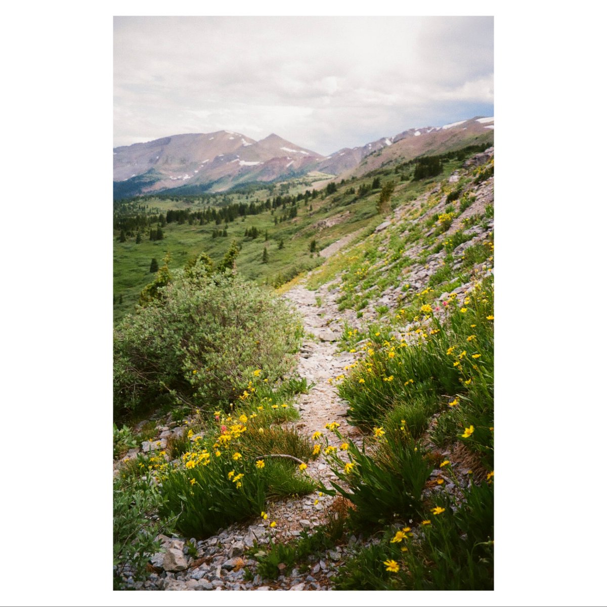 natebowery's tweet photo. Slowly getting my film from this past summer developed. Here are some point'n'shoot faves. https://t.co/MSRSApvm2w