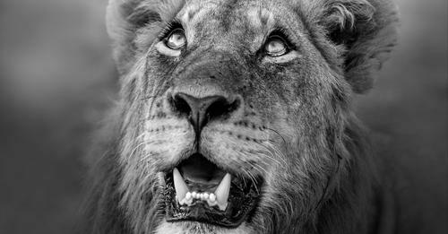 Life these days seems more unpredictable, which makes decision making more challenging. Join Doug Sundheim on how to take smart risks. This 4-week course is for anyone looking to become a better leader in uncertain times. #takingsmartrisks
Register: thealignedcenter.com/event/leadingw…